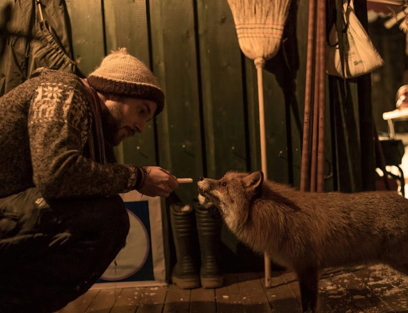 Chris nourrit un renard