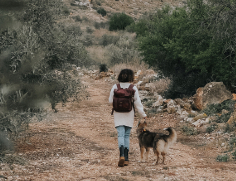 Isi se promenant avec le chien