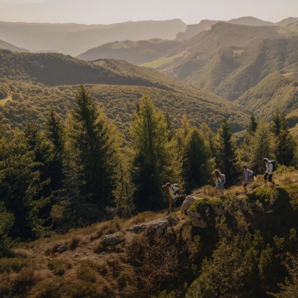 Prise de vue par drone de quatre randonneurs en tenue estivale dans un paysage montagneux boisé