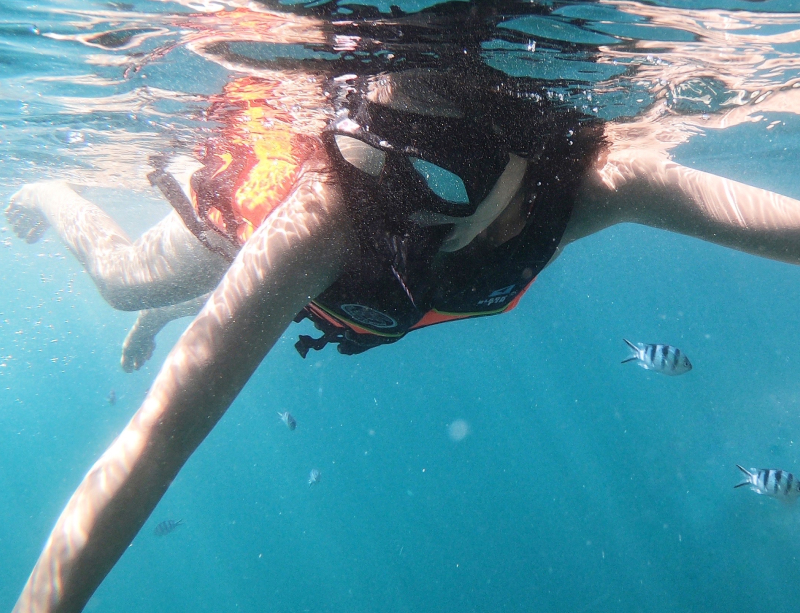 Varnvarn beim Schnorcheln im Wasser