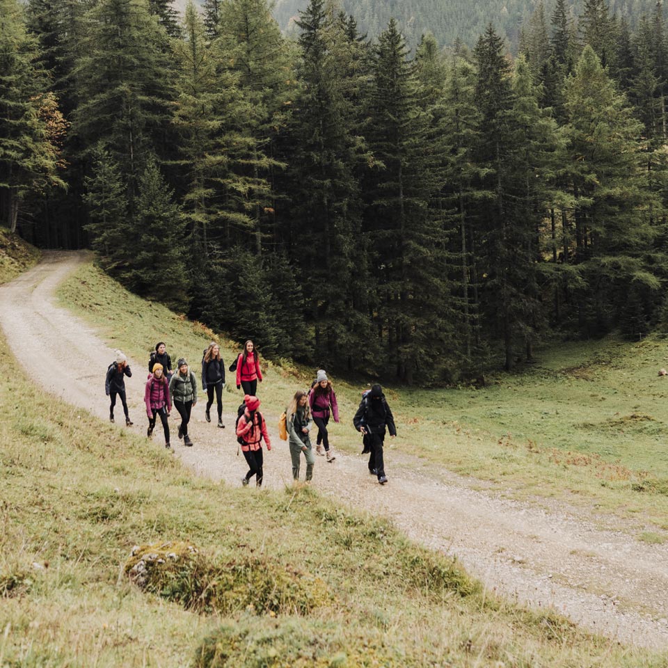 Gruppe von mehreren Personen in Outdoor-Bekleidung, die einen Waldweg entlangwandern