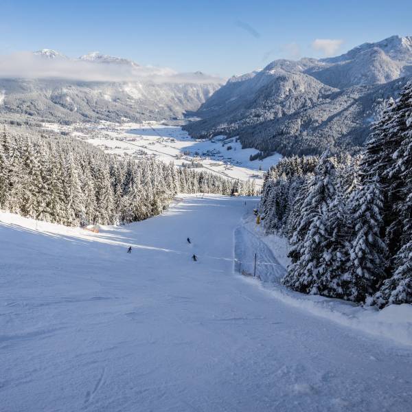 Winterliche Hornspitz-Abfahrt mit mehreren Skifahrern und Blick auf das verschneite Gosau im Tal, umgeben von bewaldeten Berghängen.