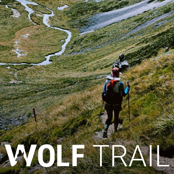 Kampagnenbild für den Wolf Trail